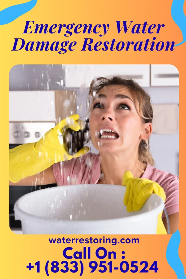Emergency Water Damage Restoration in Altamont, IL