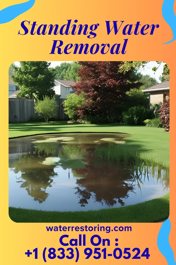 Standing Water Removal in Altamont, IL
